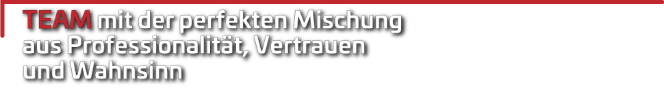 Team mit der perfekten Mischung aus Professionalität, Vertrauen und Wahnsinn